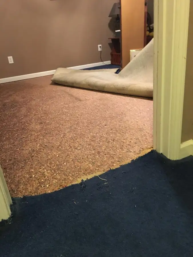Carpet pad removal revealing water damage during Water Mitigation Services in Hamburg