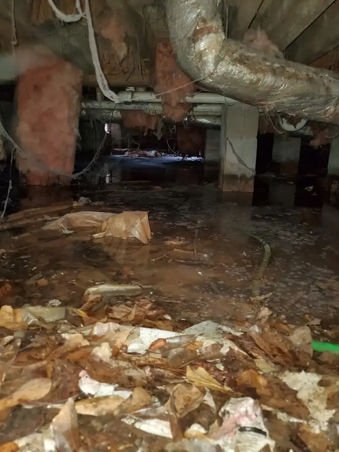 Crawl space flood assessment for Leak Detection & Repair in Hamburg