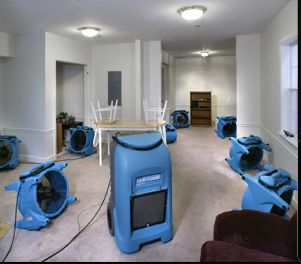 Air movers and dehumidifier setup for Water Extraction & Removal in Hamburg