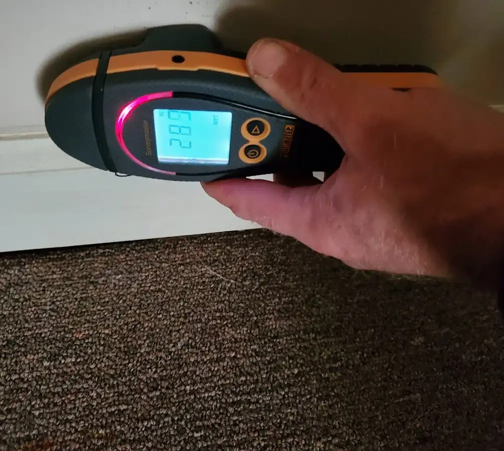 Moisture detection at baseboard during Storm Damage Restoration in Hamburg